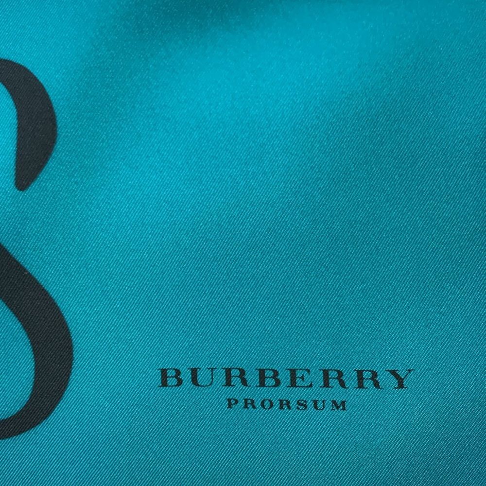 Burberry Prorsum Seascapes Landscapes Scarf Very Good Condition - Picture 2 of 3